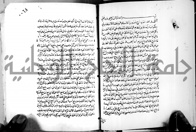 البحر الفائض في شرح ديوان ابن الفارض البوريني 