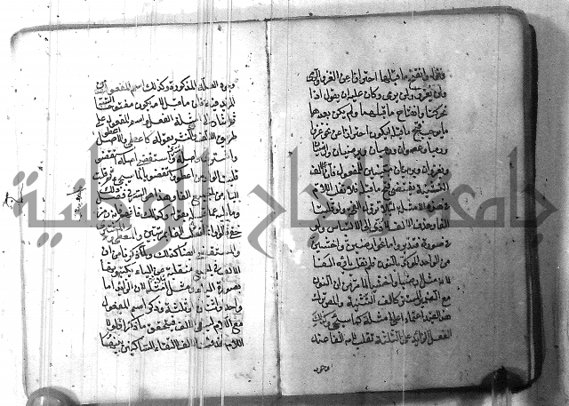 التفنن في الصرف