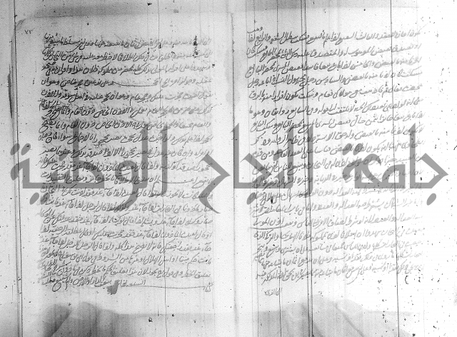 البسيط في الشروط