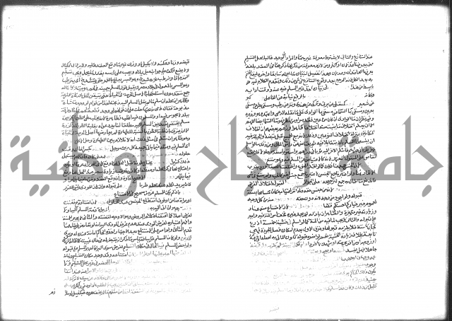 شرح الرملي 2