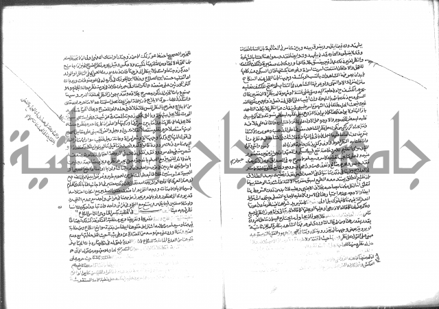 شرح الرملي 3