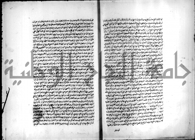 مجهول فقة 55