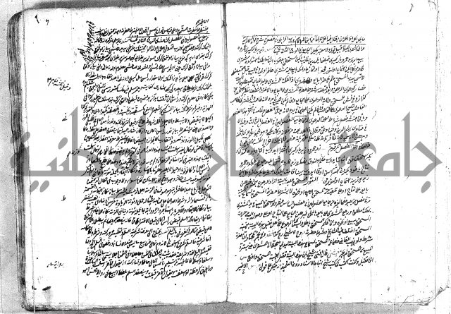 فتاوي تركية