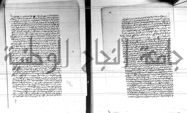 الفتاوى الحسينية