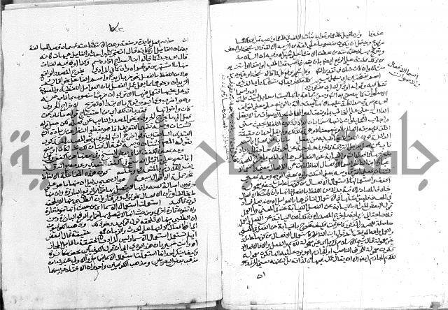 كتاب في اللغة العربية