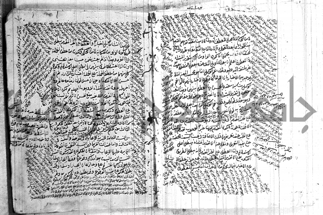 نخبة الفكر  