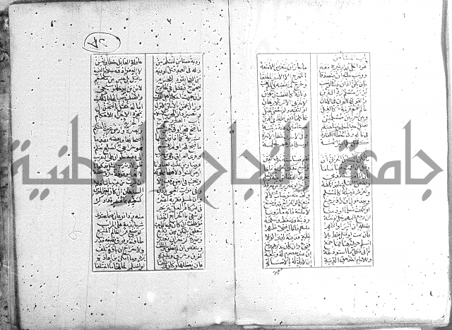 خلاصة التنوير 