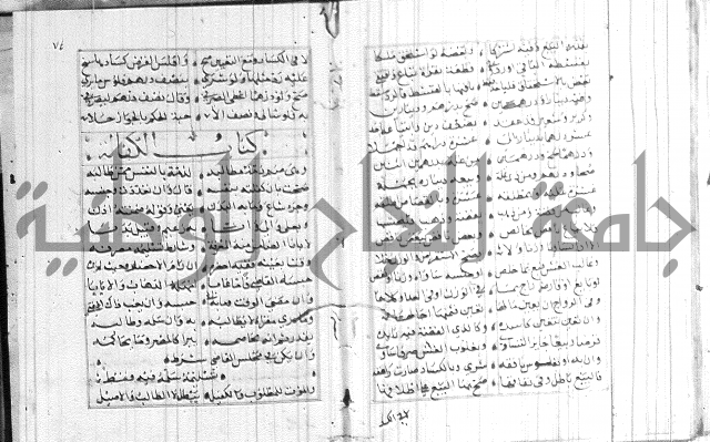 نظم كنز الدقائق