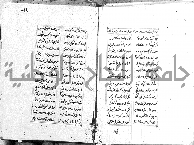 كتاب يوسف زليخا المؤلف 