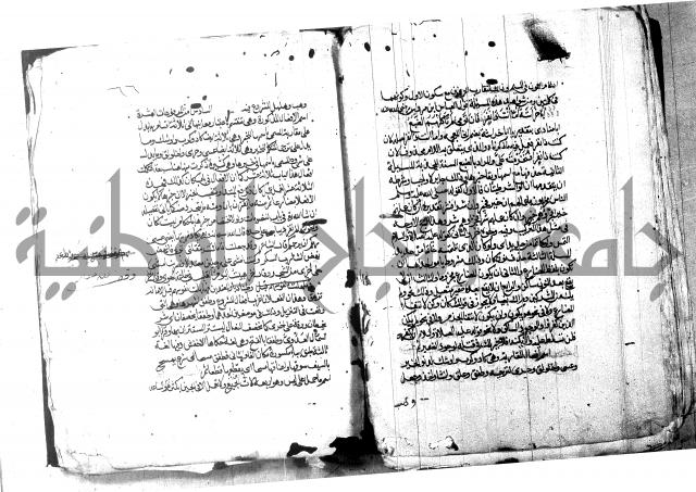 شرح شذور الذهب لابن هشام