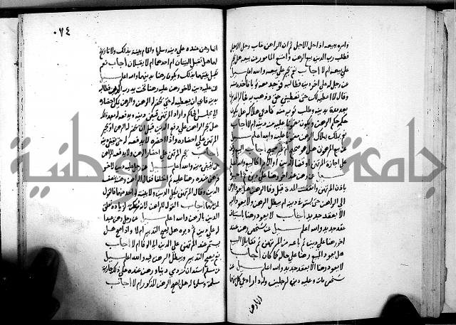 الفتاوى الامينية