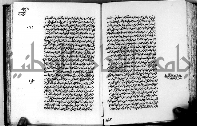 الجواهر الدورية في تنقيح الفتاوى الحامدية ج2 