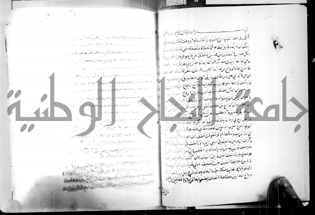 البحر الفائض في شرح ديوان ابن الفارض البوريني 