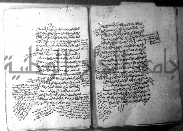 شرح الاشموني على الافية