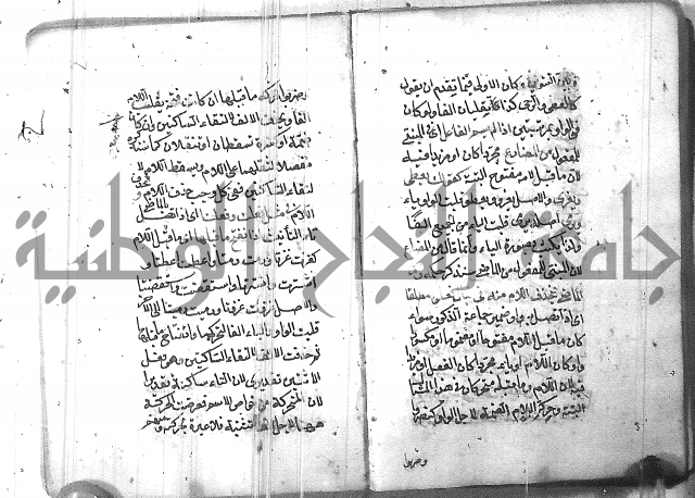 التفنن في الصرف