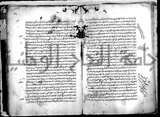 نهاية المحتاج الى شرح النهاج 2