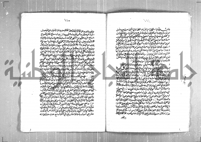 حاشية السجاعي على شرح قطر الندى وبل الصدى لابن هشام