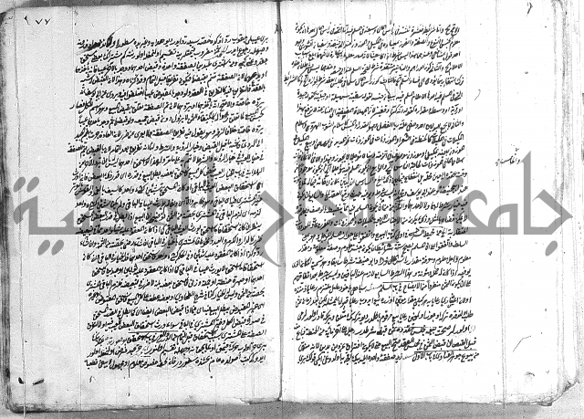 فتاوي تركية