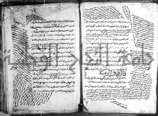 المواشح على الكافية
