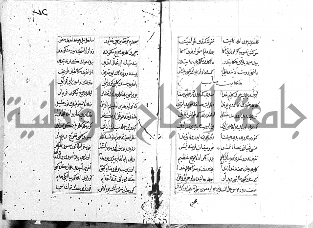 كتاب يوسف زليخا المؤلف 