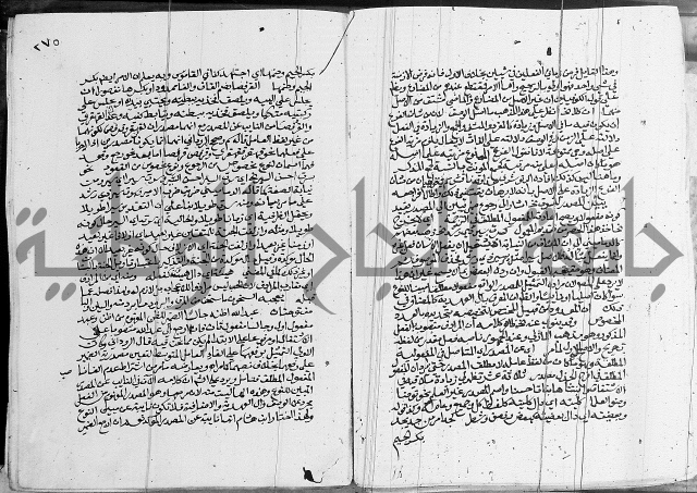 كتاب في اللغة