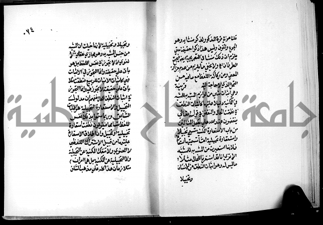 الرسالة البيانية