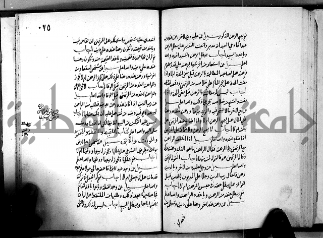 الفتاوى الامينية