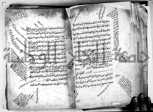 مذهب ابي حنيفة في الفقة