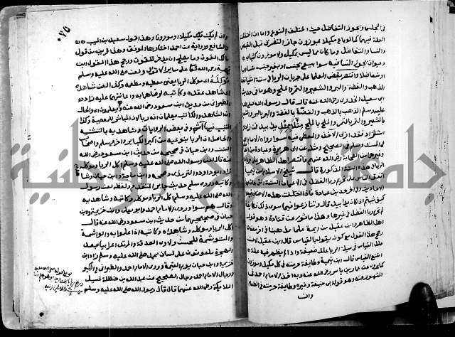 شرح ثلاثيات المسند ج1 