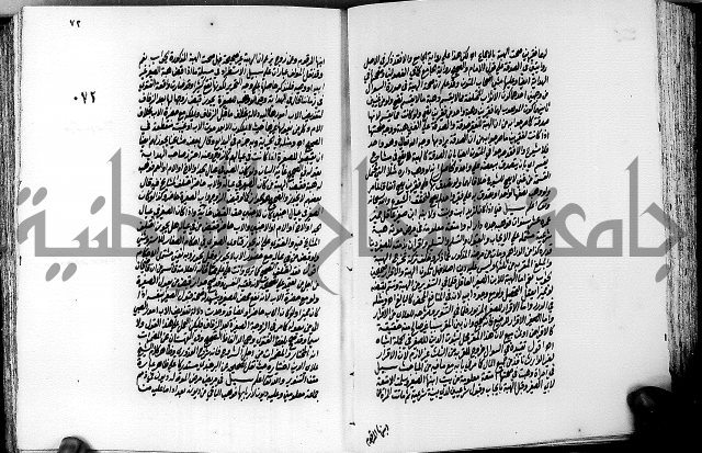 الجواهر الدورية في تنقيح الفتاوى الحامدية ج2 