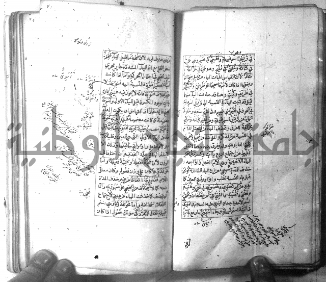 شرح الشافية 