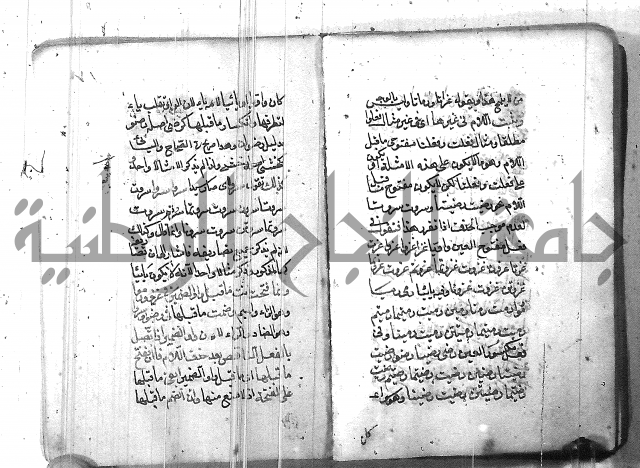 التفنن في الصرف