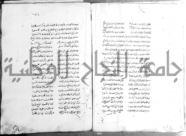 كتاب في الادب 