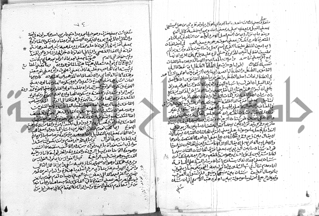 كتاب في اللغة العربية