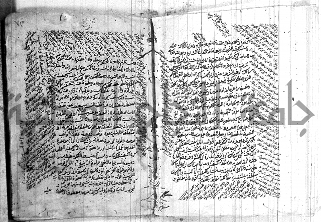 نخبة الفكر  