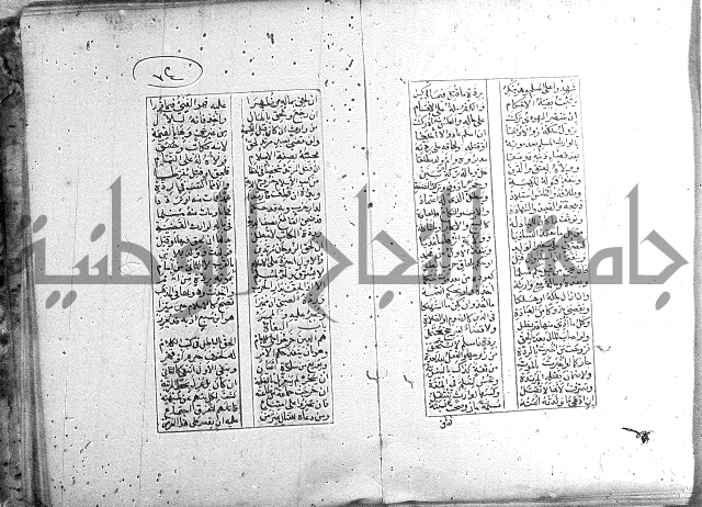 خلاصة التنوير 