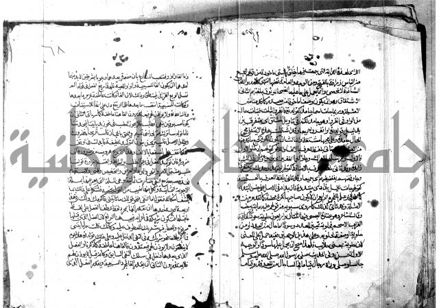 شرح شذور الذهب لابن هشام