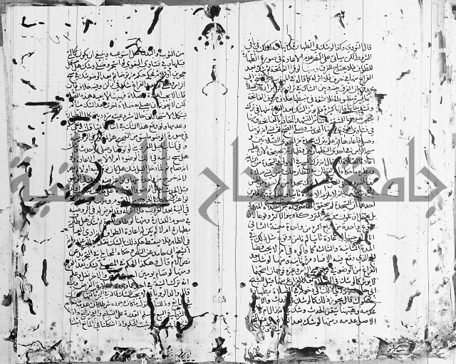 شافعي اصول فقه 