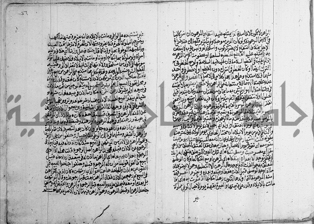 فقه - شرح البهجة الصغير