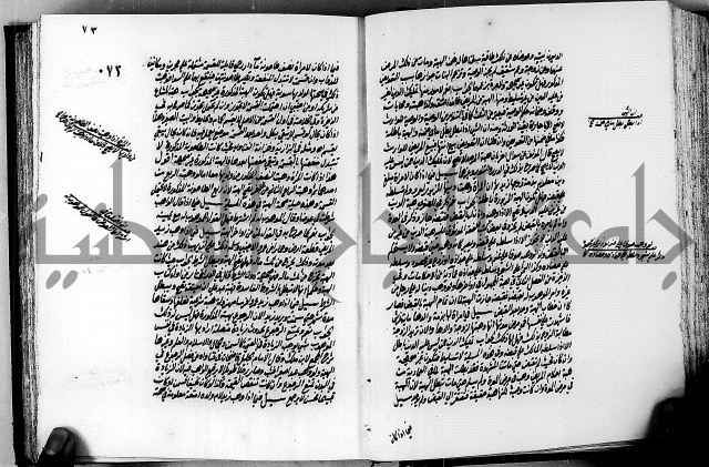 الجواهر الدورية في تنقيح الفتاوى الحامدية ج2 