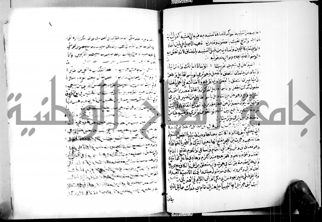 البحر الفائض في شرح ديوان ابن الفارض البوريني 