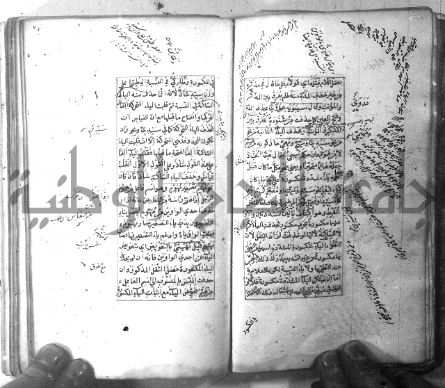 شرح الشافية 