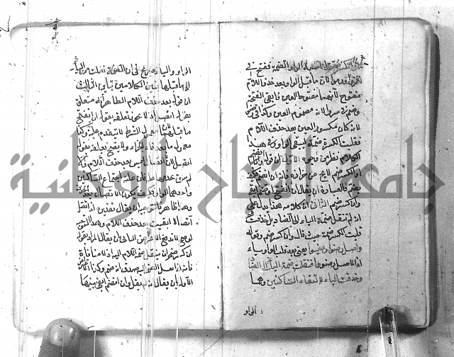 التفنن في الصرف