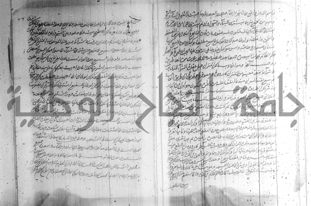 البسيط في الشروط