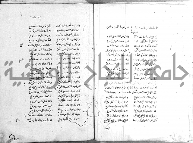 كتاب في الادب 