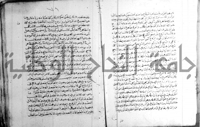 السنباطي على المحلي