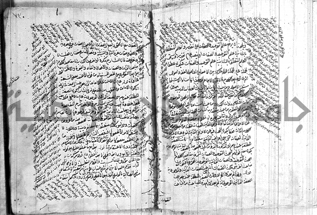 نخبة الفكر  
