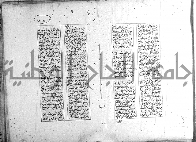 خلاصة التنوير 