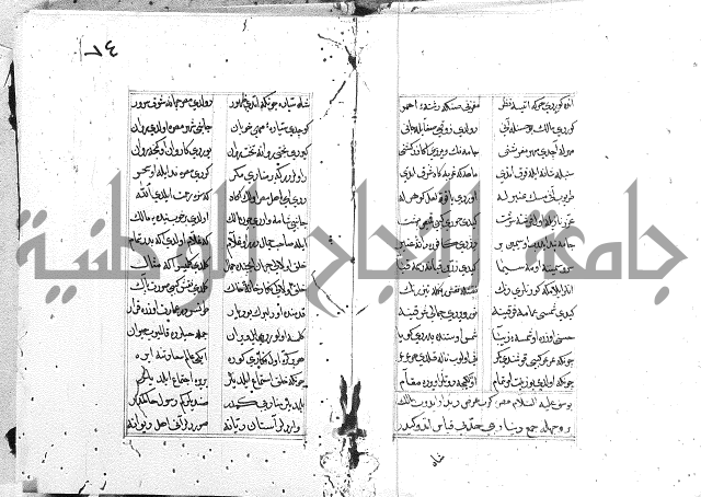 كتاب يوسف زليخا المؤلف 