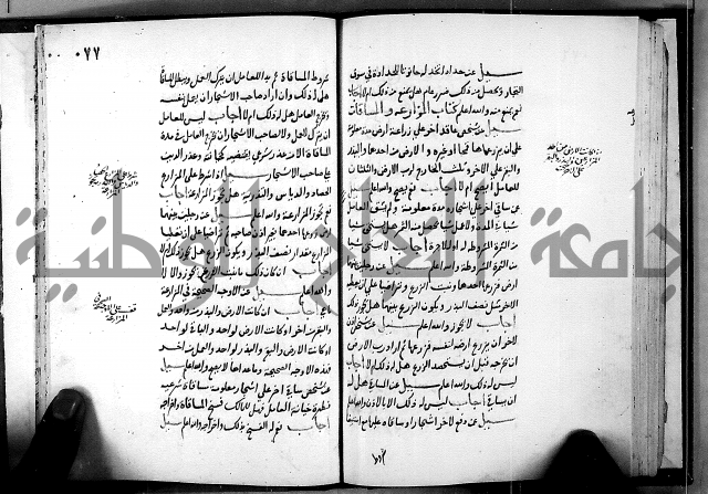 الفتاوى الامينية